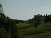 Feldbergblick