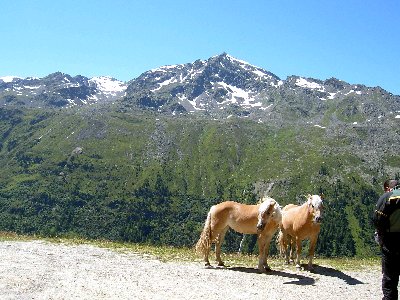 Timmelsjoch