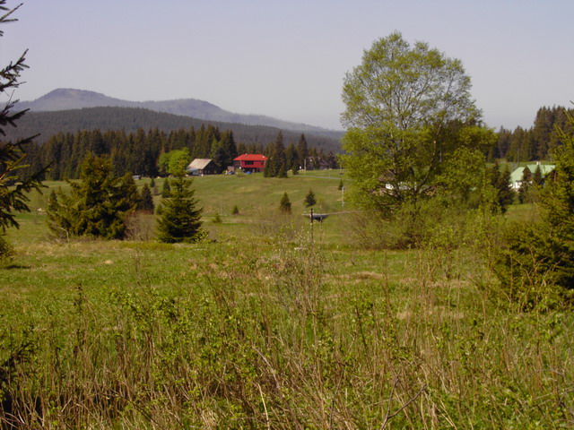 Bayerischer Wald (Bilder von Alois)